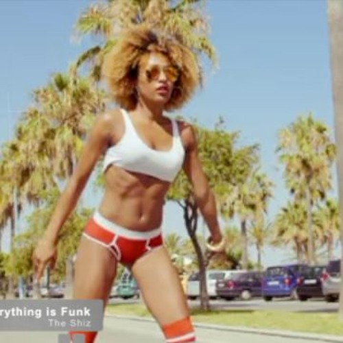Everything Is Funk (Teaser) - The Shiz