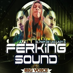 ECUA CONTRUCCIONS LLC VOZ FERKING SOUND EL BIG VOICE
