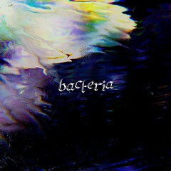 Bacteria