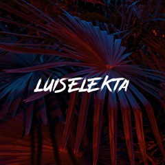 LUISELEKTA - Bassline Riddimz