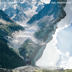 Feel An Emotion