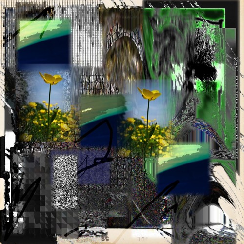 Stream Butter fly by Mr. Andrew's Garden Listen online for free on