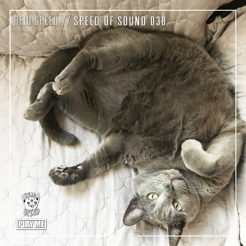 SPEED OF SOUND 038