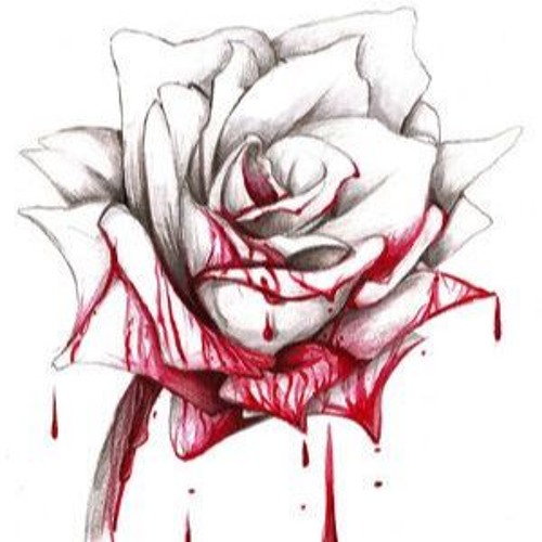 Dead Roses Colored pencil over graphite pencil drawing I  Flickr