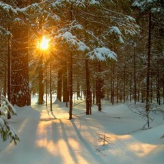 Beka Todria-დეკემბერი, დეკემბერი (cover) CES Songwriting