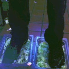 Robot Lettuce