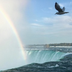 Renjā - Symphony of the Thunderbirds