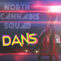 Северный - DANS