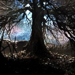 💤💤💤💤💤💤💤💤