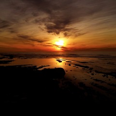 Saving all my love for you