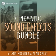 Cinematic Sound Effects Bundle - by Ann Kroeber & Alan Splet - Demo
