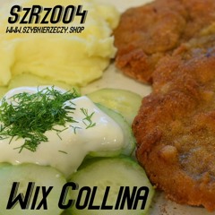 SzRz004 - WIX COLLINA - Najdłuższa piosenka o miłości ever...