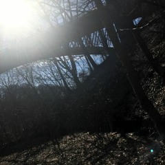 days prod. budgie