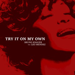 Try It On My Own (feat. Leo Mendez) (Original Mix)