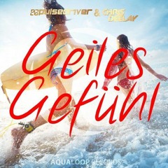 Pulsedriver Feat Chris Deelay - Geiles Gefuhl [Repackage] - LANZAMIENTO !!