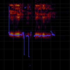 52Hz Whale song whale-song Ak52 original speed, noise reduced