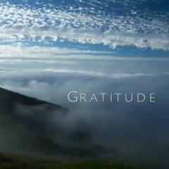 Gratitude The Short Film By Louie Schwartzberg