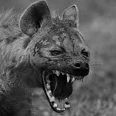 THUNDERDOME (private)BUNKER MILLENIUM 90's rave lost mixtape