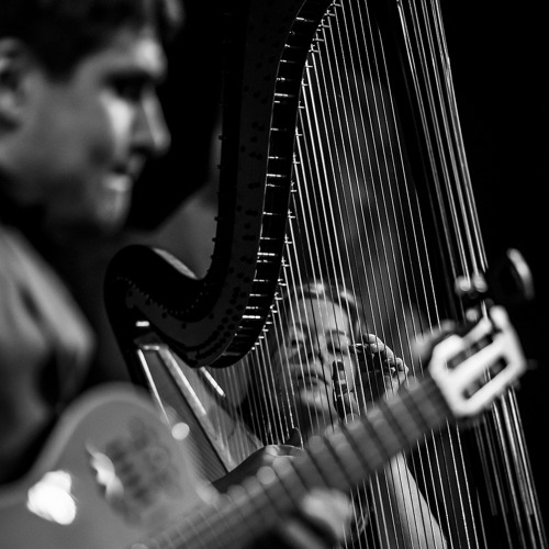 Sisa and the Gray Pigeon for 53 strings