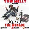 Ynw Melly Melly The Menace Audio Mp3