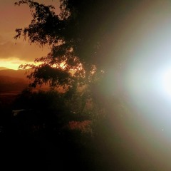 House/Lo-Fi House/DnB
