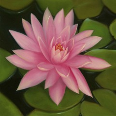 Lotus II (Dear U) [prod. UrbanNerdBeats]