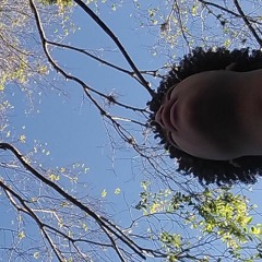 ROBB LEE THE LEADER -THE VIEW (BEAT BY SHADINE)- MIX BY J.DOE