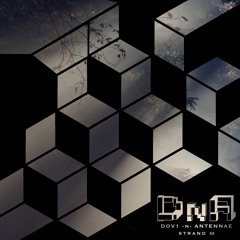 DnA (Dov1 & An-ten-nae) - Monkey