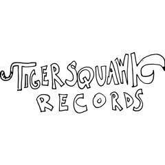 Tigersquawk Records Q1, 2018