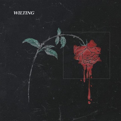 wilting    🥀