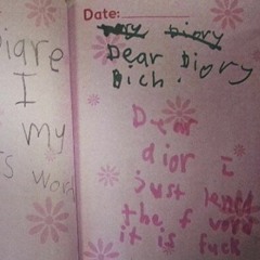 the loner(s) - the f word (live jan 8th 2016 k robin guitars)