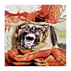 MEATFETISH - BIG DAWG (PROD. ICXXY)