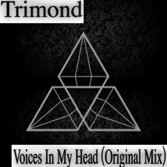 Voices In My Head (Original Mix)