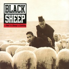 Black Sheep - The Choice Is Yours (1991) (Underground Mix)