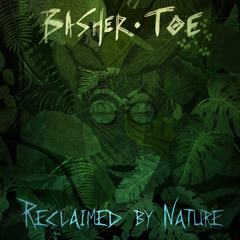 Basher Toe - Spireality Pt.2