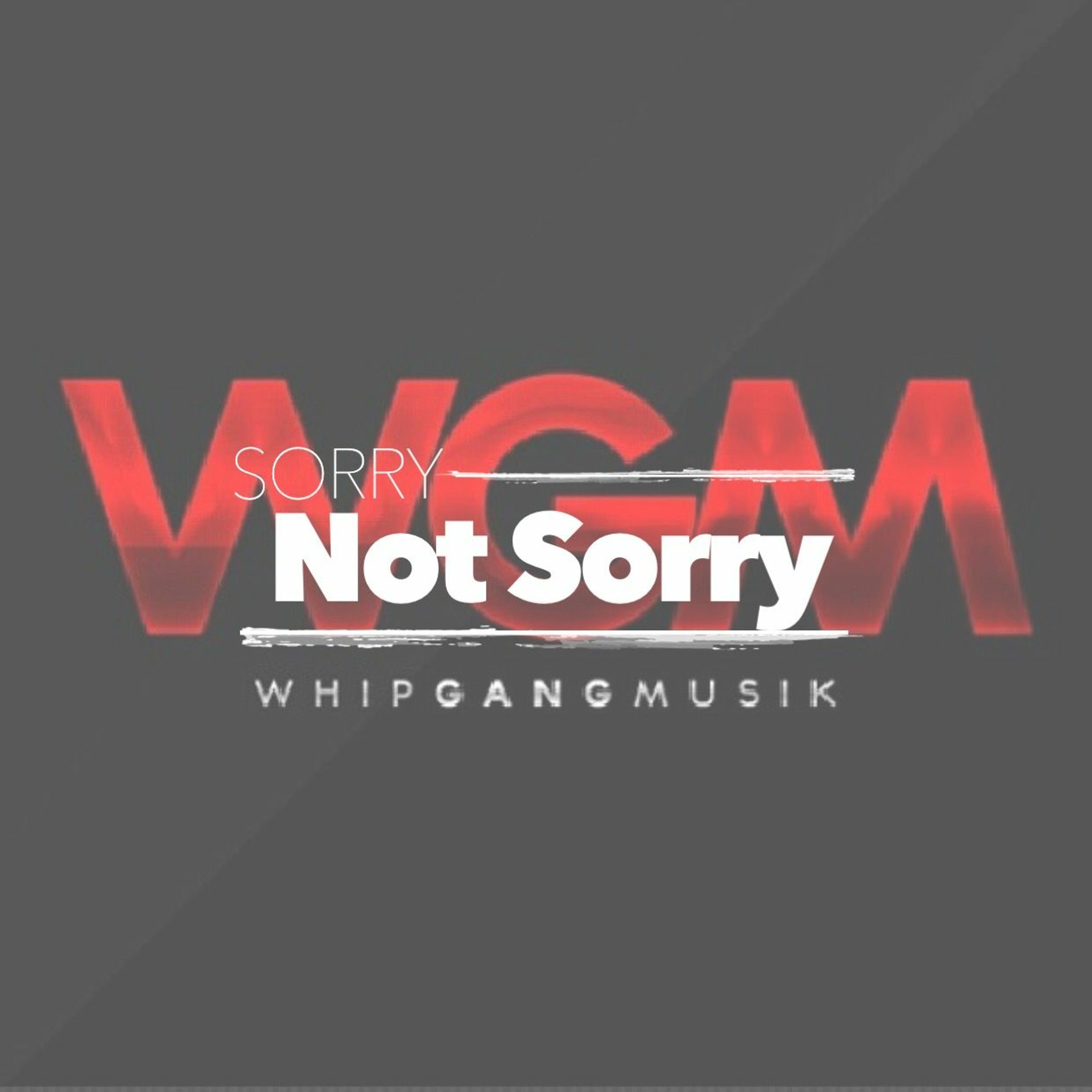 Sorry Not Sorry episode artwork