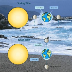 Tides