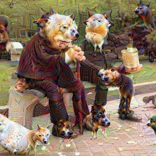 Sit and Observe