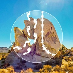 Tonspur #9 - PLK