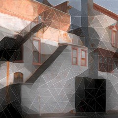 Bison Chemo - Scalabrini Ortiz