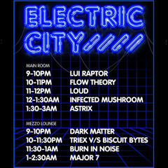 Electric City by Flow Theory