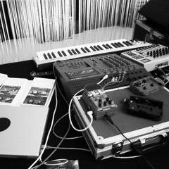 Live @ Vinyl Market / Astropolis l'Hiver 23.5