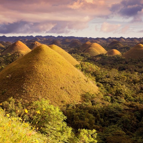 [CONTEST ENTRY] Sparta Floreno Base