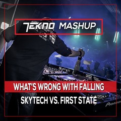 Skytech vs First State feat. Anita Kelsey - What's Wrong Falling (TEKNO Mashup)