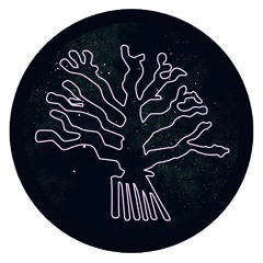 PRIMICIA: BeGun - Salia Sahi [Nazca Records]