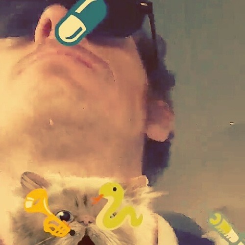 Never Heard Of The Bloke - Turtlenecjk (LIVE)