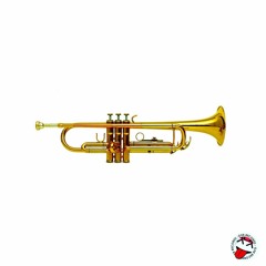 COKE IN NYC - AkInGs