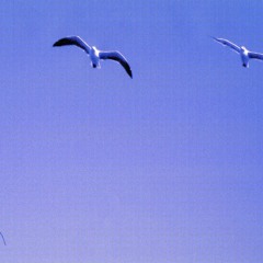 The Rainbow Danced - song 1 title song on the album the rainbow danced