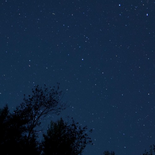 Try (Sean Roman Edit)