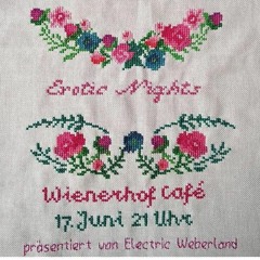 live at Electric Weberland // Wienerhof Café 17.06.2017